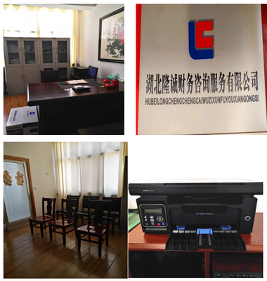 湖北隆誠財務咨詢服務 專業賦能，助力企業穩健發展